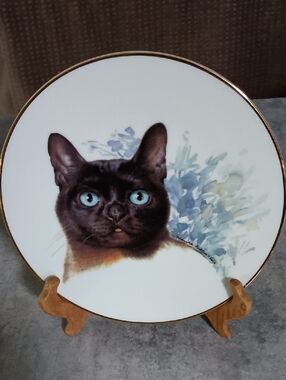 Decorative Black Cat Portrait Plate in White with Blue Accents